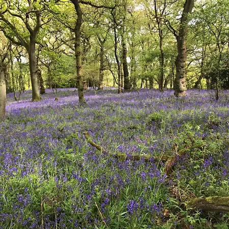 Bluebell Bell Tent The Roaches Upper Hulme Exterior photo