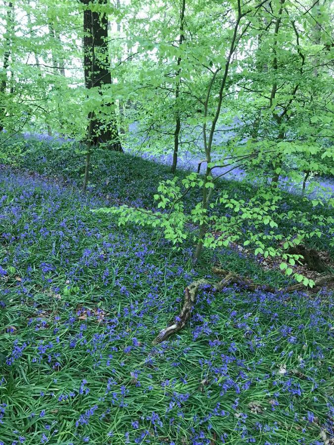 Bluebell Bell Tent The Roaches *