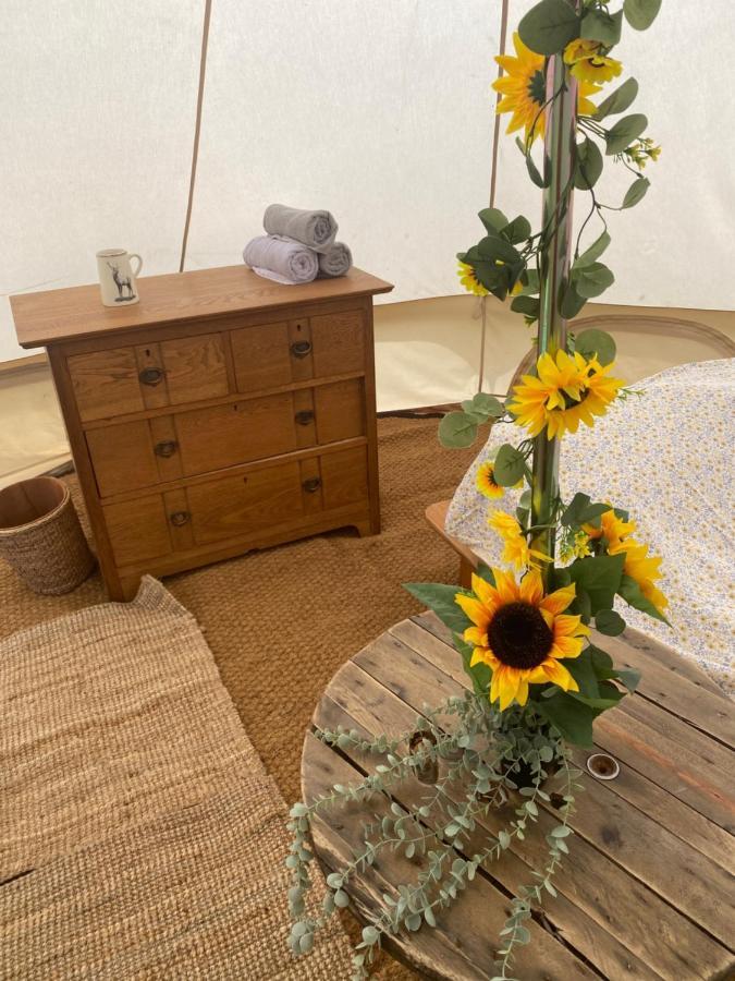 Bluebell Bell Tent The Roaches Luxury tent *