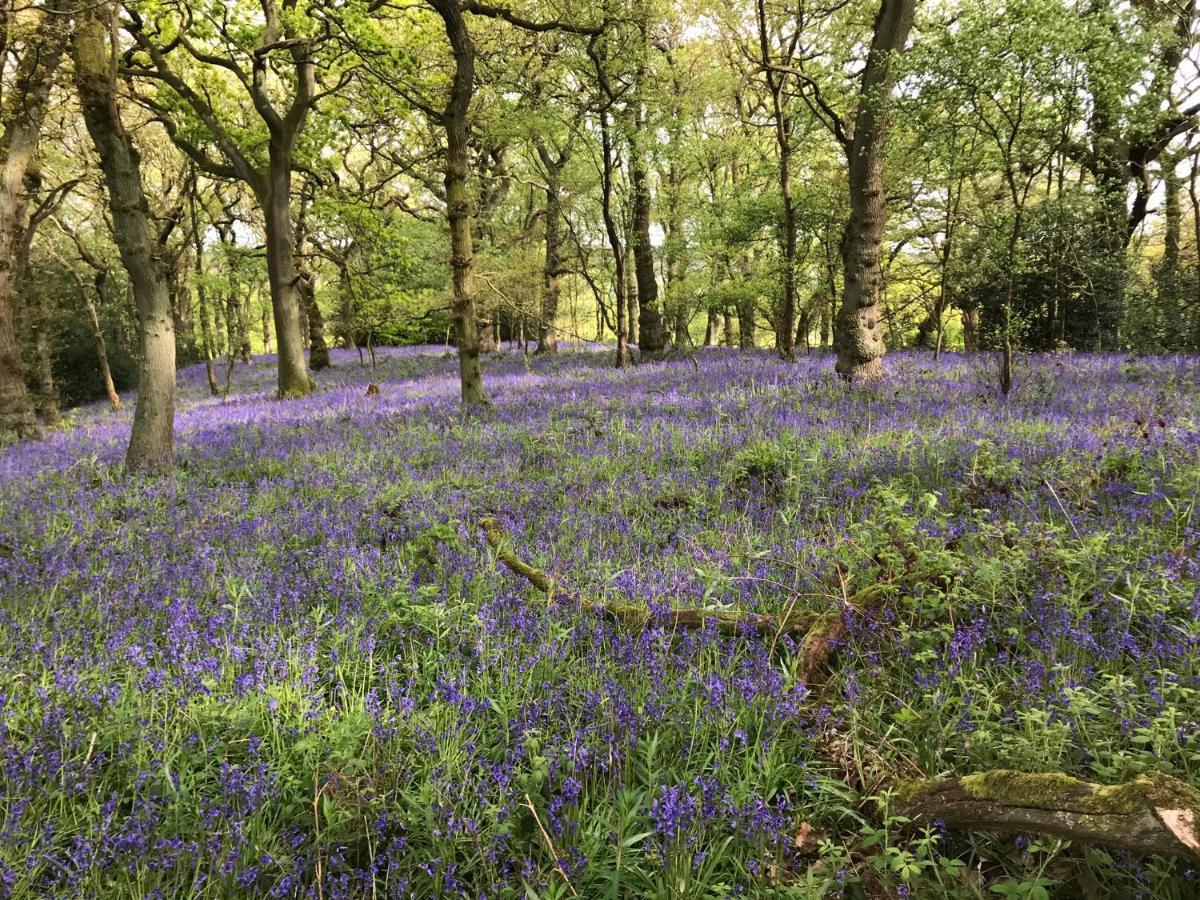 Bluebell Bell Tent The Roaches Upper Hulme