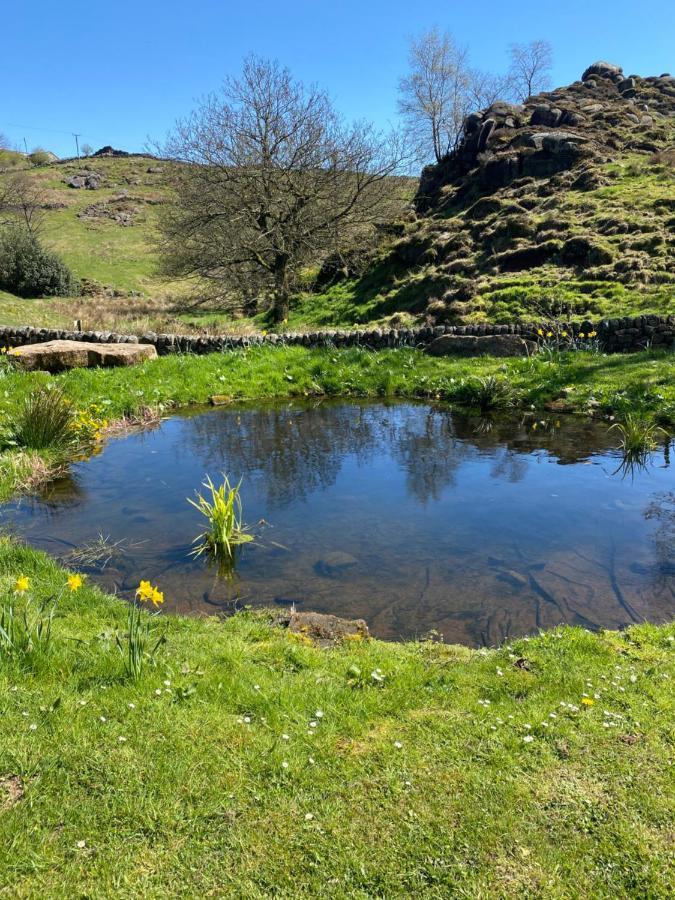 Luxury tent Bluebell Bell Tent The Roaches
